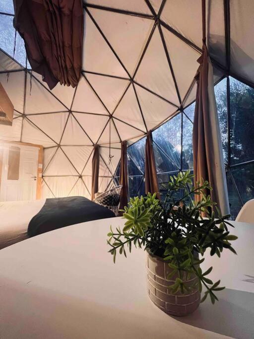 Magia Ecolodges, Glamping Punta Colorada Екстериор снимка